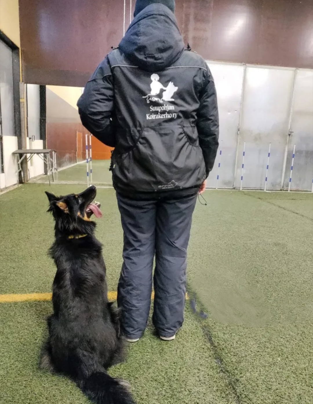 Hellun kanssa treeniä Suupohjan Koirakerho ry hallilla